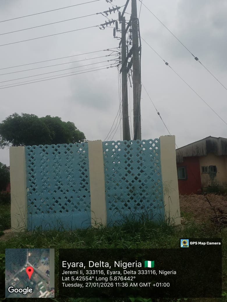 Overhead Power Line and Pole Works - Site Photo 2